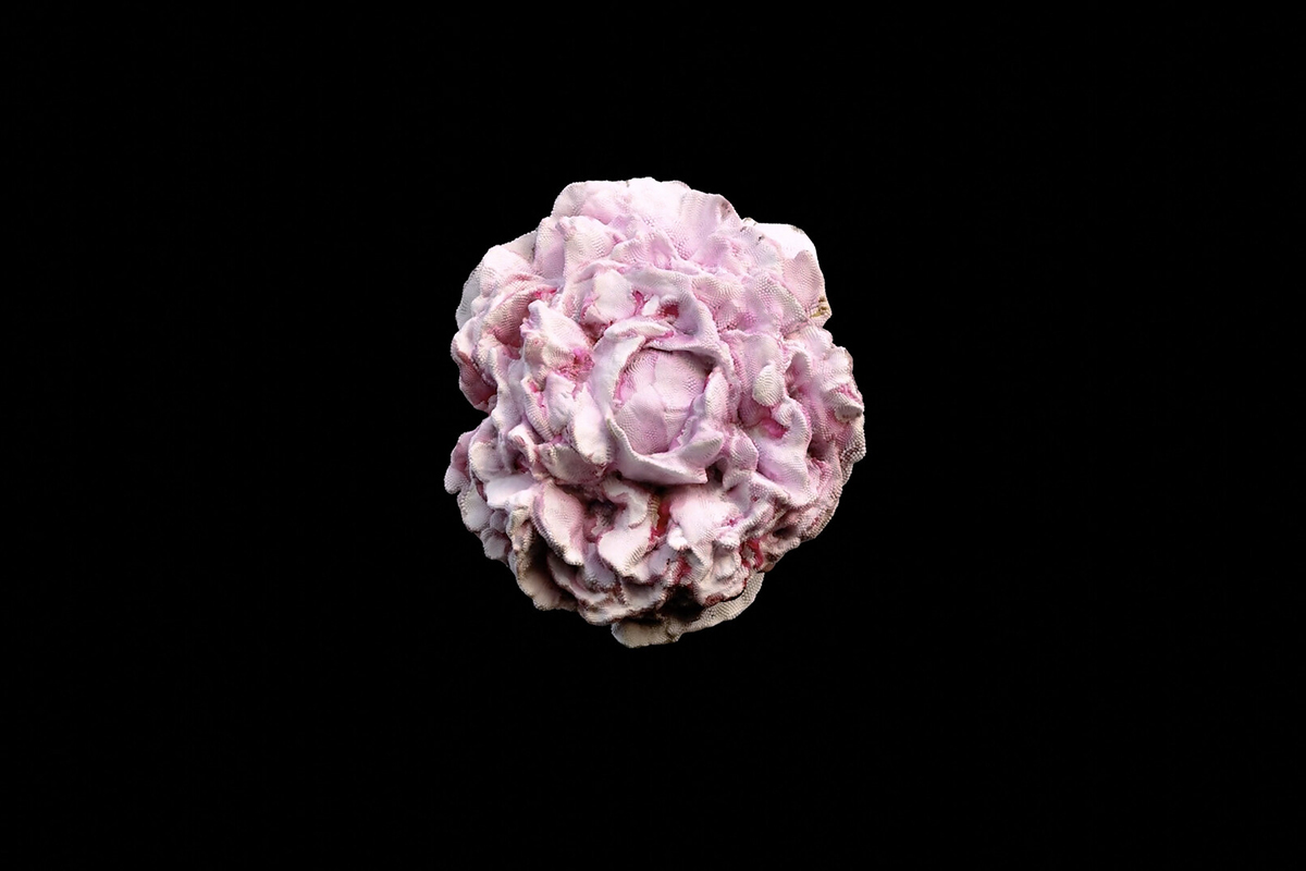 Santa Barbara International Film Festival Presented By Lexus Announces 2025 Program