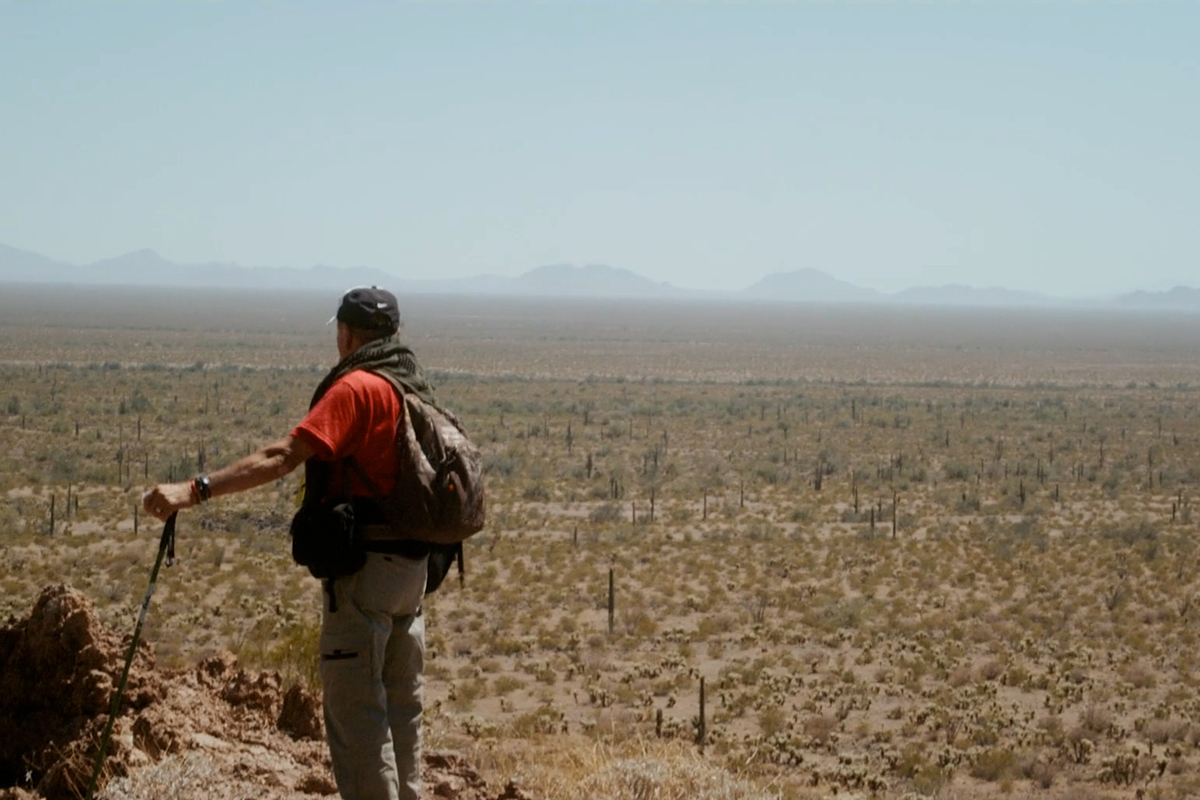 Santa Barbara International Film Festival Presented By Lexus Announces 2025 Program