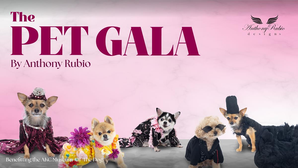 The Pet Gala by Anthony Rubio Recreations of 2025 Met Gala for Dogs