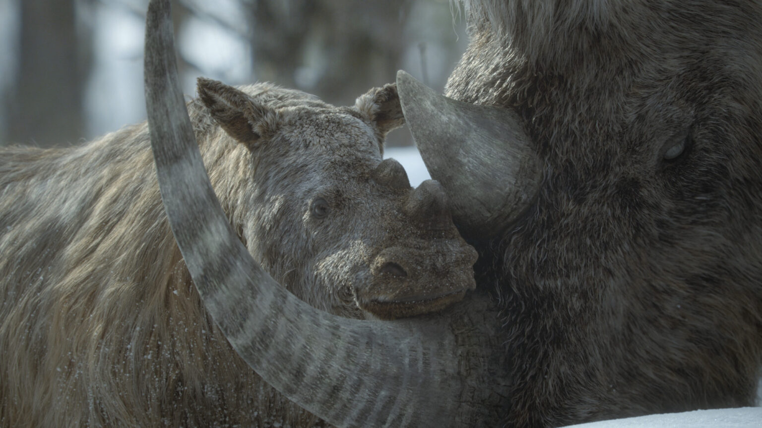 Prehistoric Planet: Ice Age