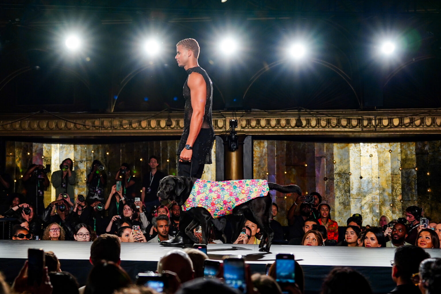A Cat and Dogs In Haute Couture Take Over New York Fashion Week
