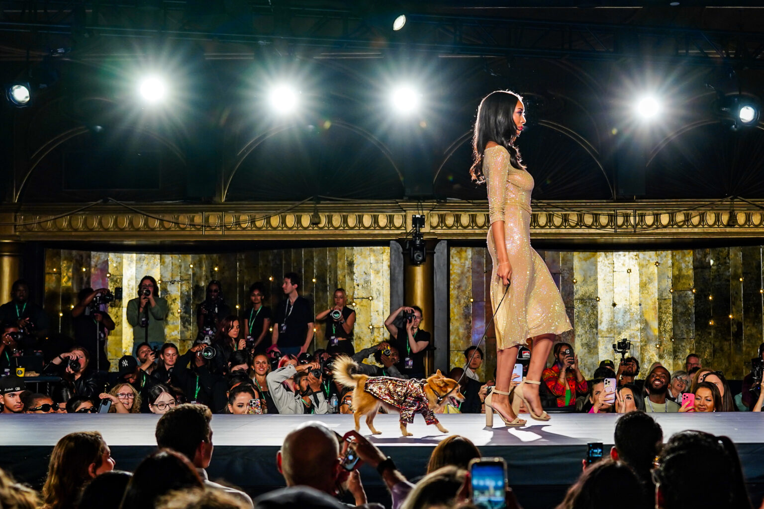 A Cat and Dogs In Haute Couture Take Over New York Fashion Week