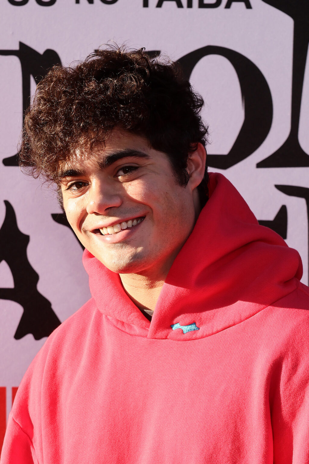 HOLLYWOOD, CALIFORNIA - SEPTEMBER 09: <> attends the Los Angeles premiere of "Demon Slayer: Kimetsu No Yaiba Infinity Castle" at TCL Chinese Theatre on September 09, 2025 in Hollywood, California. (Photo by Randy Shropshire/Getty Images for Crunchyroll, Sony Pictures Entertainment, Aniplex)