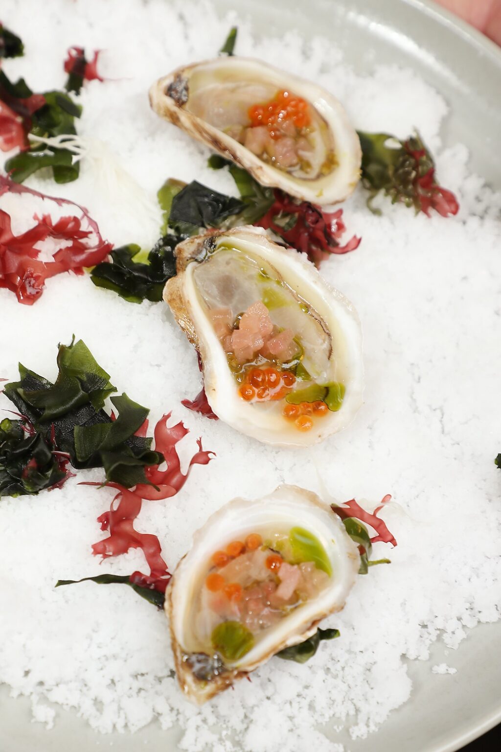 New York, New York - 10/10/25 - Oysters @ The Musket Room attends A Premiere Celebration for Apple TV+ “Knife Edge: Chasing Michelin Stars” at The Musket Room and COQODAQ in New York CityPicturehouse - PICTURED: Oysters @ The Musket Room - PHOTO by: Marion Curtis / StarPix for Apple TV+ - Location: The Musket Room and COQODAQ