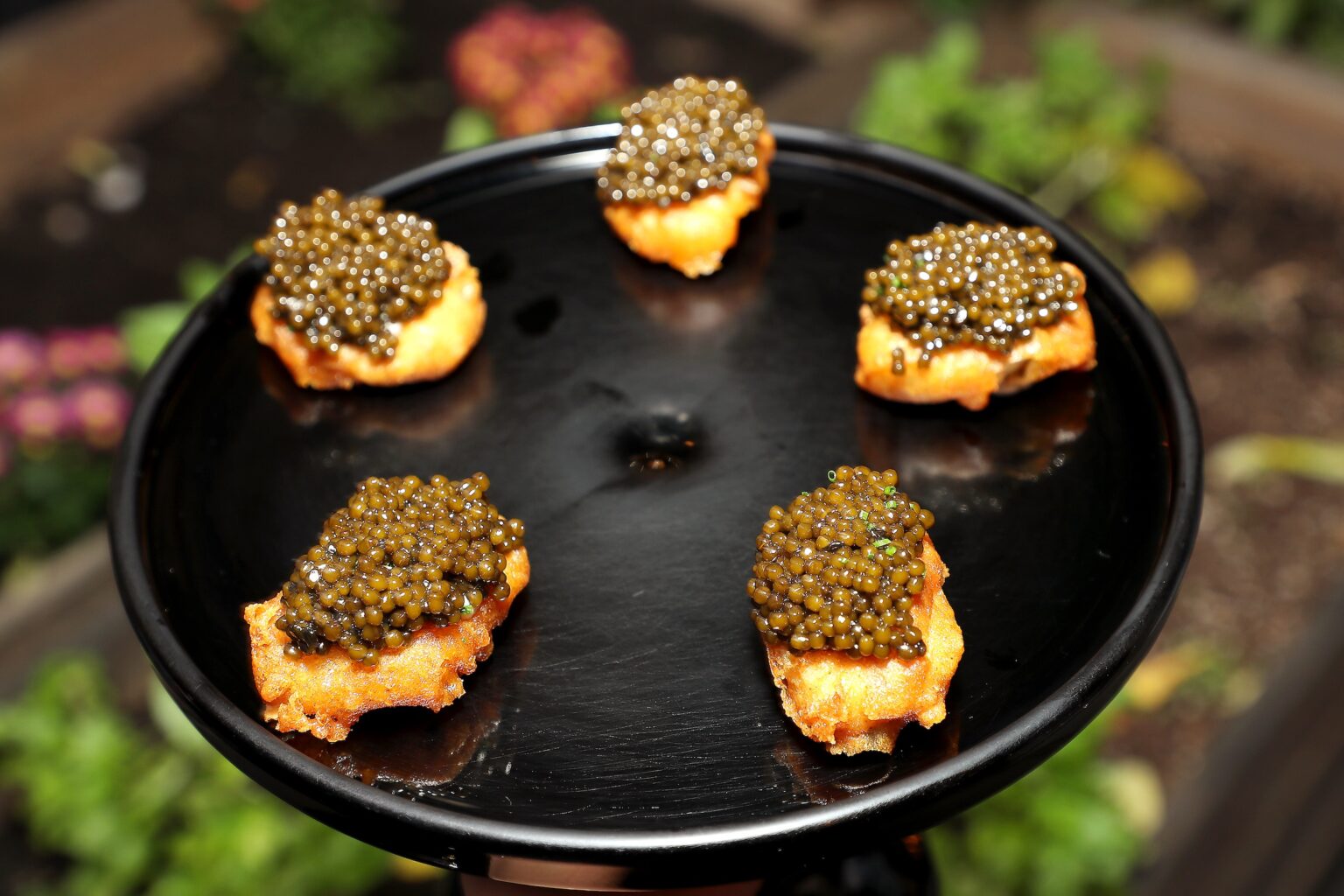 New York, New York - 10/10/25 - COQODAQ Nuggets with caviar attends A Premiere Celebration for Apple TV+ “Knife Edge: Chasing Michelin Stars” at The Musket Room and COQODAQ in New York CityPicturehouse - PICTURED: COQODAQ Nuggets with caviar - PHOTO by: Marion Curtis / StarPix for Apple TV+ - Location: The Musket Room and COQODAQ