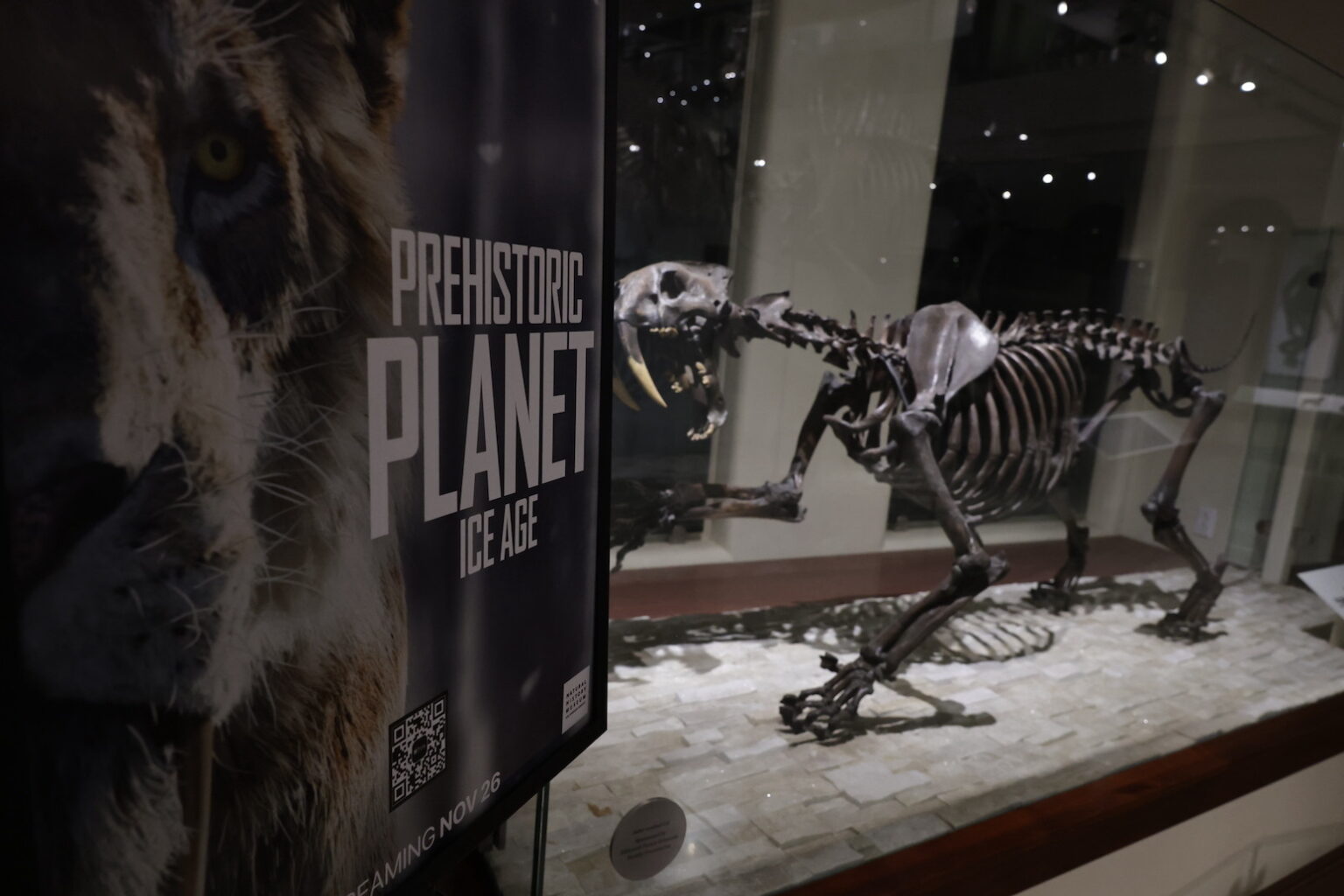 LOS ANGELES, CALIFORNIA - NOVEMBER 20: Special Screening And Behind The Scenes Conversation Of Apple TV's "Prehistoric Planet: Ice Age" at Natural History Museum Of Los Angeles County on November 20, 2025 in Los Angeles, California. (Photo by Eric Charbonneau/Apple TV via Getty Images)