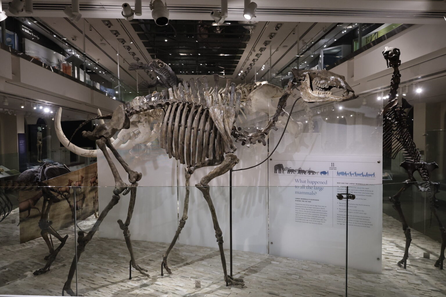 LOS ANGELES, CALIFORNIA - NOVEMBER 20: Special Screening And Behind The Scenes Conversation Of Apple TV's "Prehistoric Planet: Ice Age" at Natural History Museum Of Los Angeles County on November 20, 2025 in Los Angeles, California. (Photo by Eric Charbonneau/Apple TV via Getty Images)