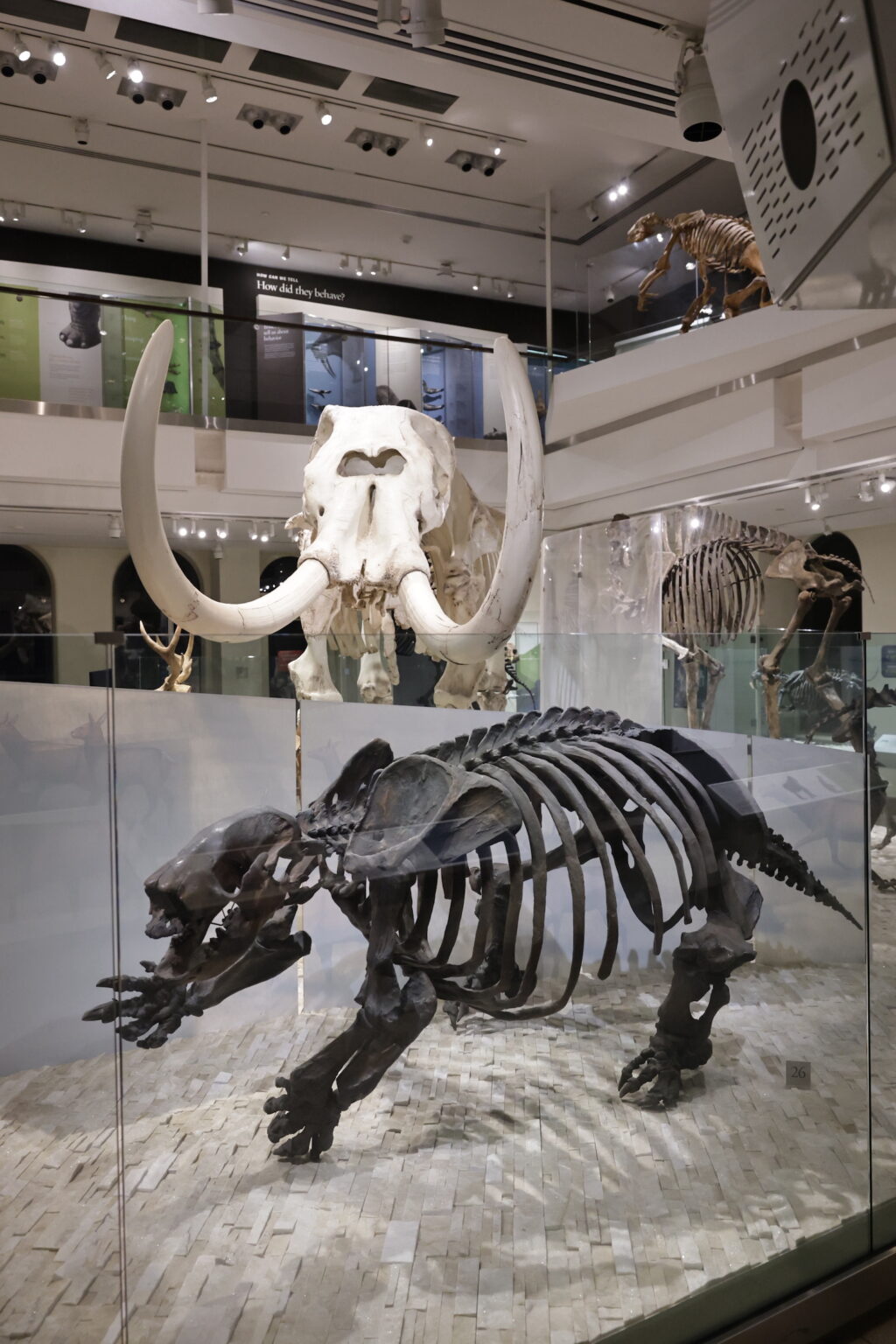 Apple TV, Jon Favreau, Mike Gunton and BBC celebrate the upcoming premiere of Prehistoric Planet: Ice Age at Natural History Museum