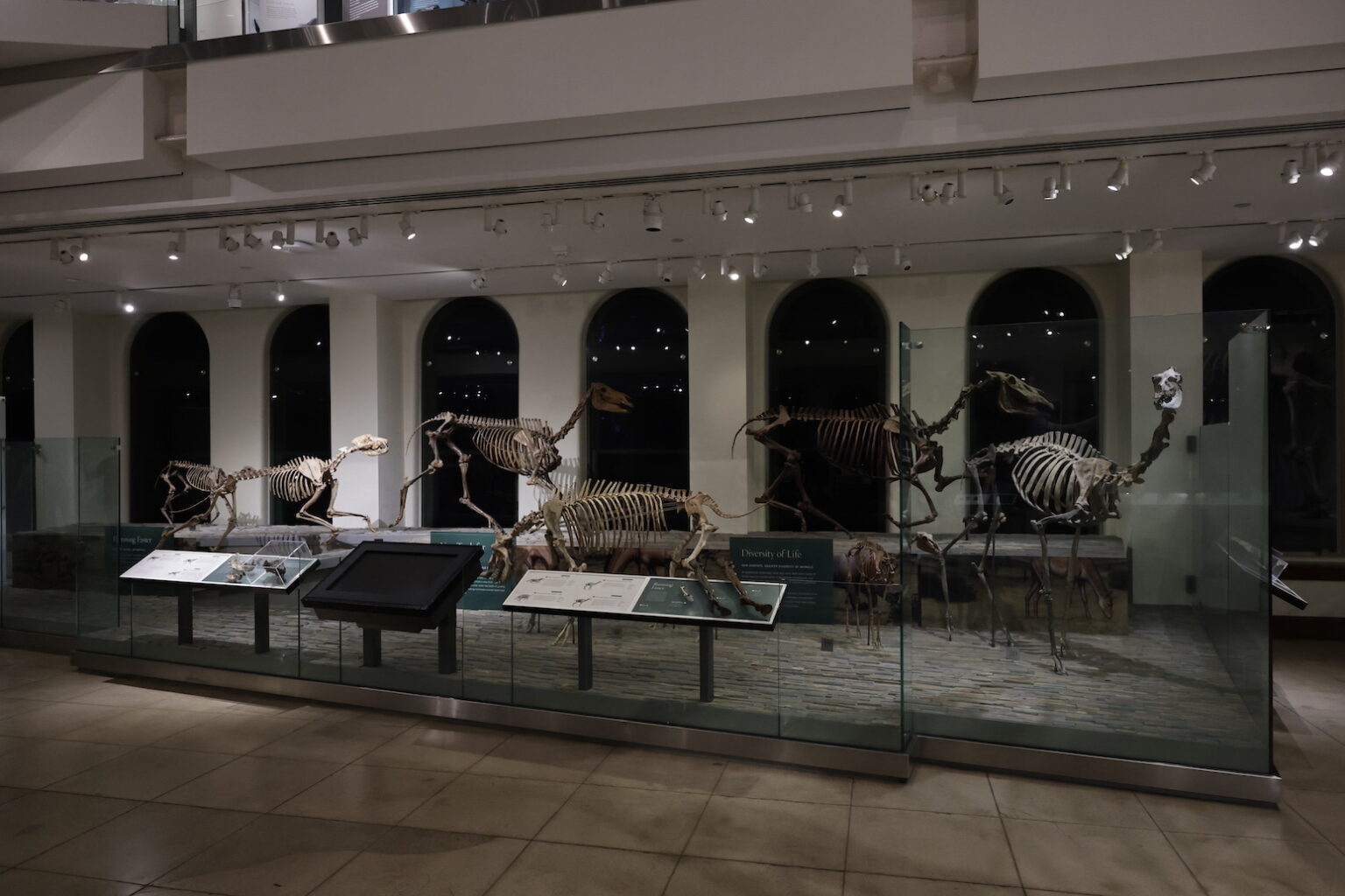 LOS ANGELES, CALIFORNIA - NOVEMBER 20: Special Screening And Behind The Scenes Conversation Of Apple TV's "Prehistoric Planet: Ice Age" at Natural History Museum Of Los Angeles County on November 20, 2025 in Los Angeles, California. (Photo by Eric Charbonneau/Apple TV via Getty Images)