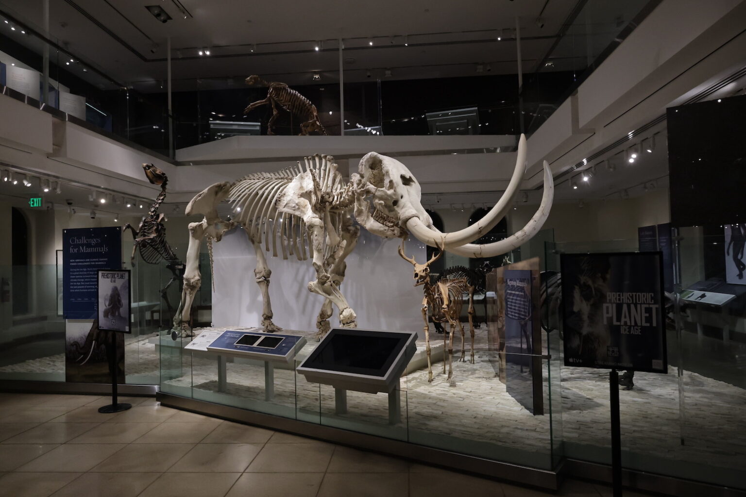 Apple TV, Jon Favreau, Mike Gunton and BBC celebrate the upcoming premiere of Prehistoric Planet: Ice Age at Natural History Museum