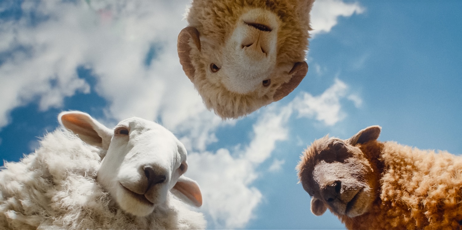 (L to R) Regina Hall as the voice of Cloud, Chris O'Dowd as the voice of Mopple and Julia-Louis Dreyfus as the voice of Lily in THE SHEEP DETECTIVES, from Amazon MGM Studios. Photo credit: Courtesy of Amazon MGM Studios © 2026 Amazon Content Services LLC. All Rights Reserved.