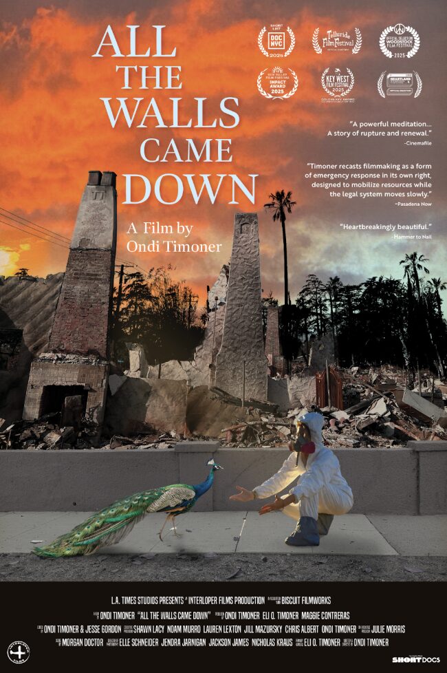 ALL THE WALLS CAME DOWN – event moment