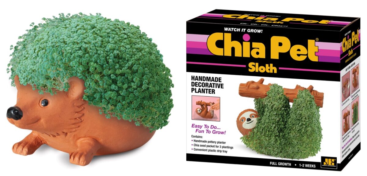 THE WORLD OF CHIA PET COULD SOON HIT THE BIG SCREEN