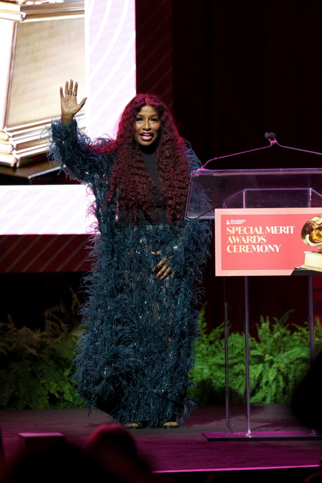 LOS ANGELES, CALIFORNIA - JANUARY 31: Chaka Khan speaks onstage during the Special Merit Awards Ceremony & 68th Annual GRAMMY Nominees Reception during the 68th GRAMMY Awards on January 31, 2026 in Los Angeles, California. (Photo by Monica Schipper/Getty Images for The Recording Academy)