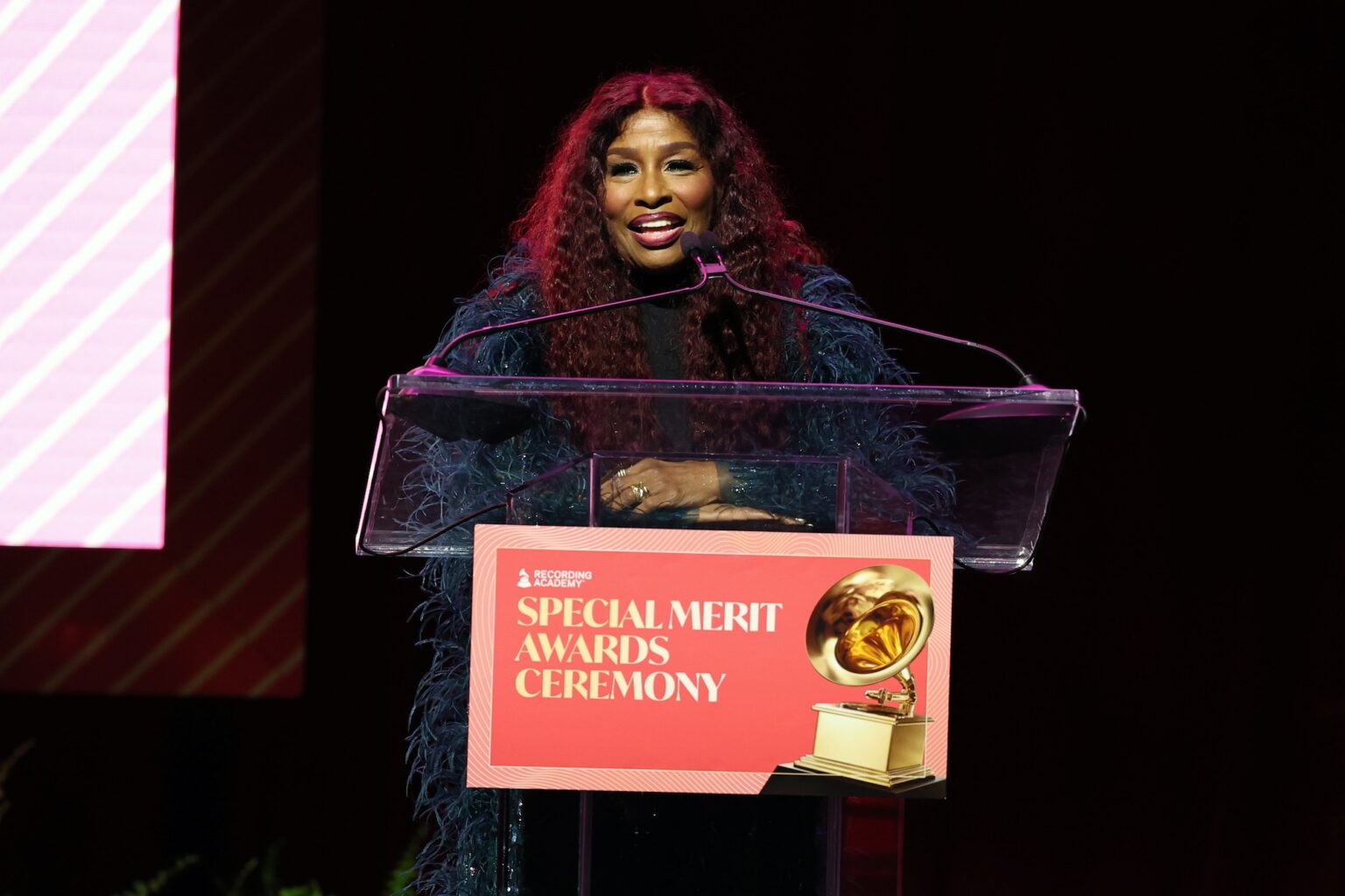 LOS ANGELES, CALIFORNIA - JANUARY 31: Chaka Khan speaks onstage during the Special Merit Awards Ceremony & 68th Annual GRAMMY Nominees Reception during the 68th GRAMMY Awards on January 31, 2026 in Los Angeles, California. (Photo by Monica Schipper/Getty Images for The Recording Academy)