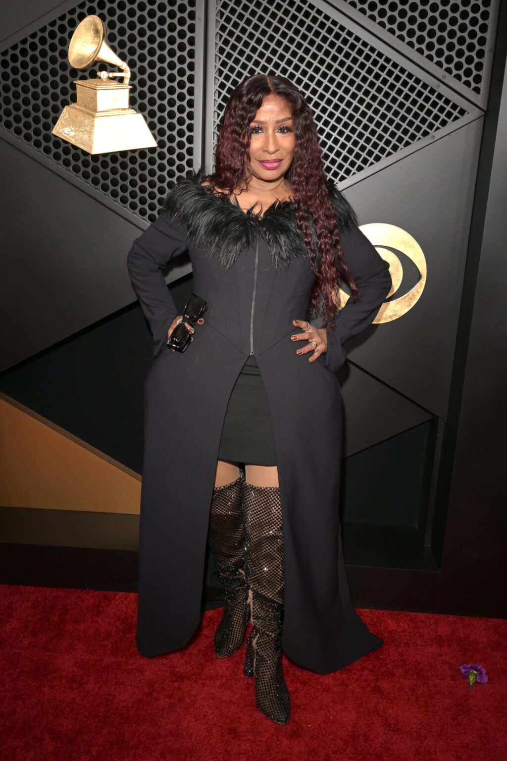 LOS ANGELES, CALIFORNIA - FEBRUARY 01: Chaka Khan attends the 68th GRAMMY Awards on February 01, 2026 in Los Angeles, California. (Photo by Lester Cohen/Getty Images for The Recording Academy)