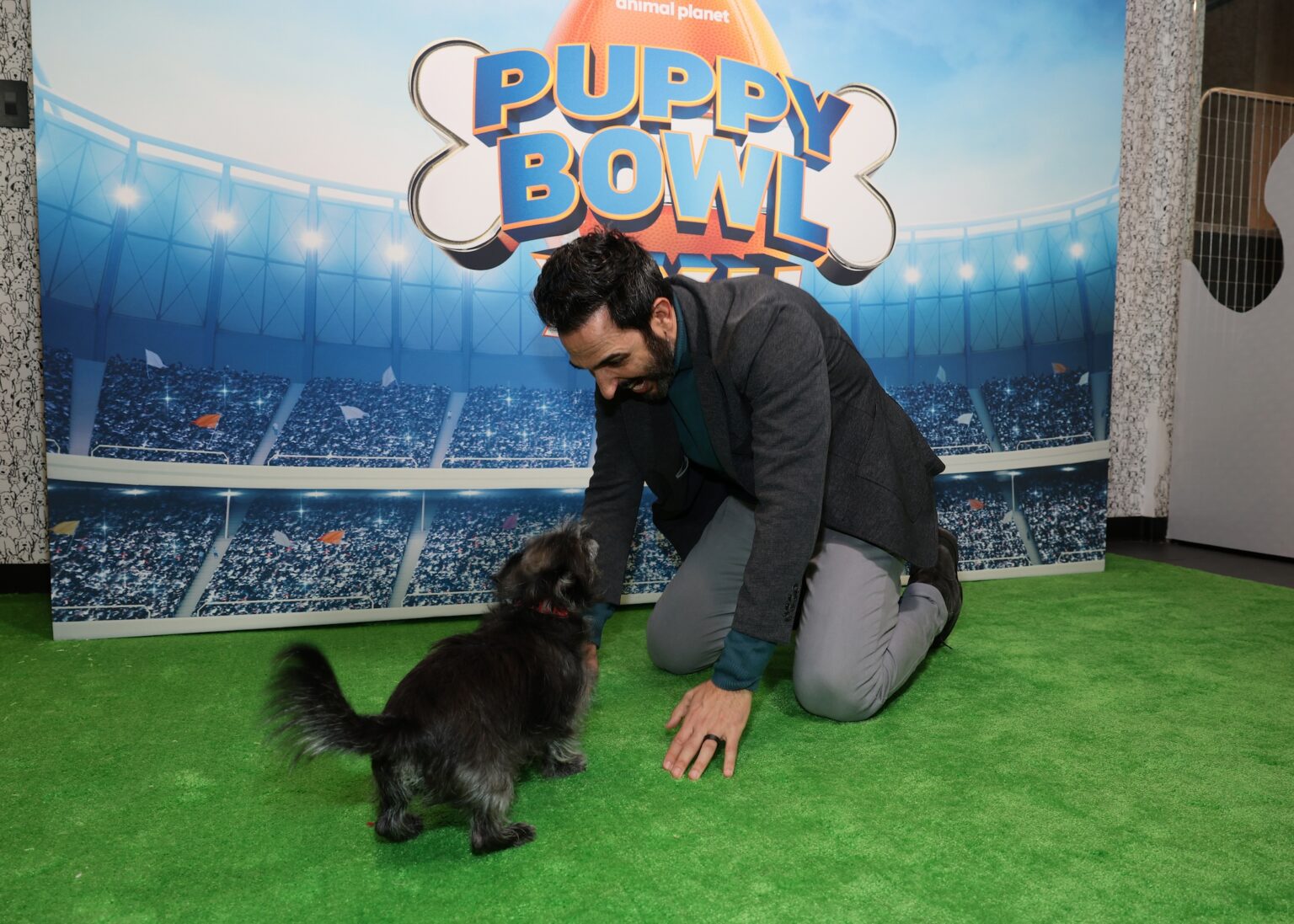 NEW YORK, NEW YORK - FEBRUARY 03: Amir Arison attends Puppy Bowl XXII Press Event on February 03, 2026 in New York City. (Photo by Dimitrios Kambouris/Getty Images for Warner Bros. Discovery)