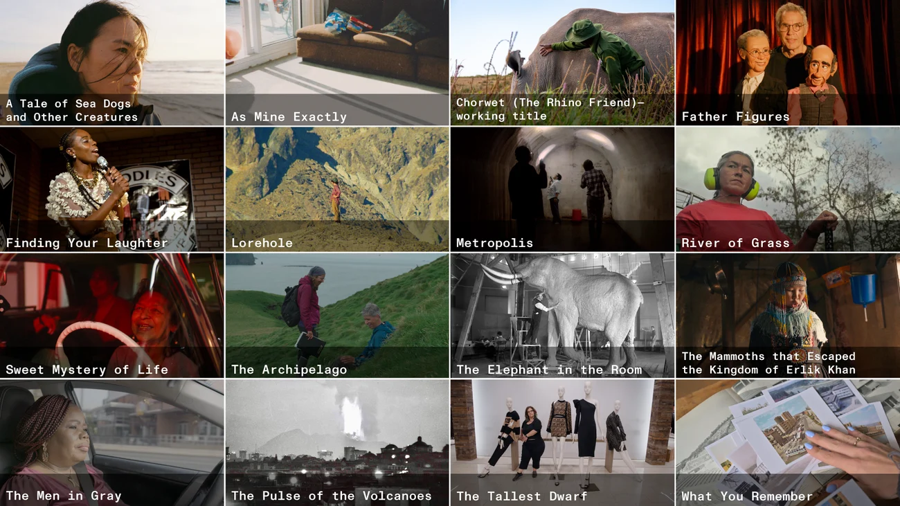 Announcing the 2026 Sundance Institute | Sandbox Fund Grantees