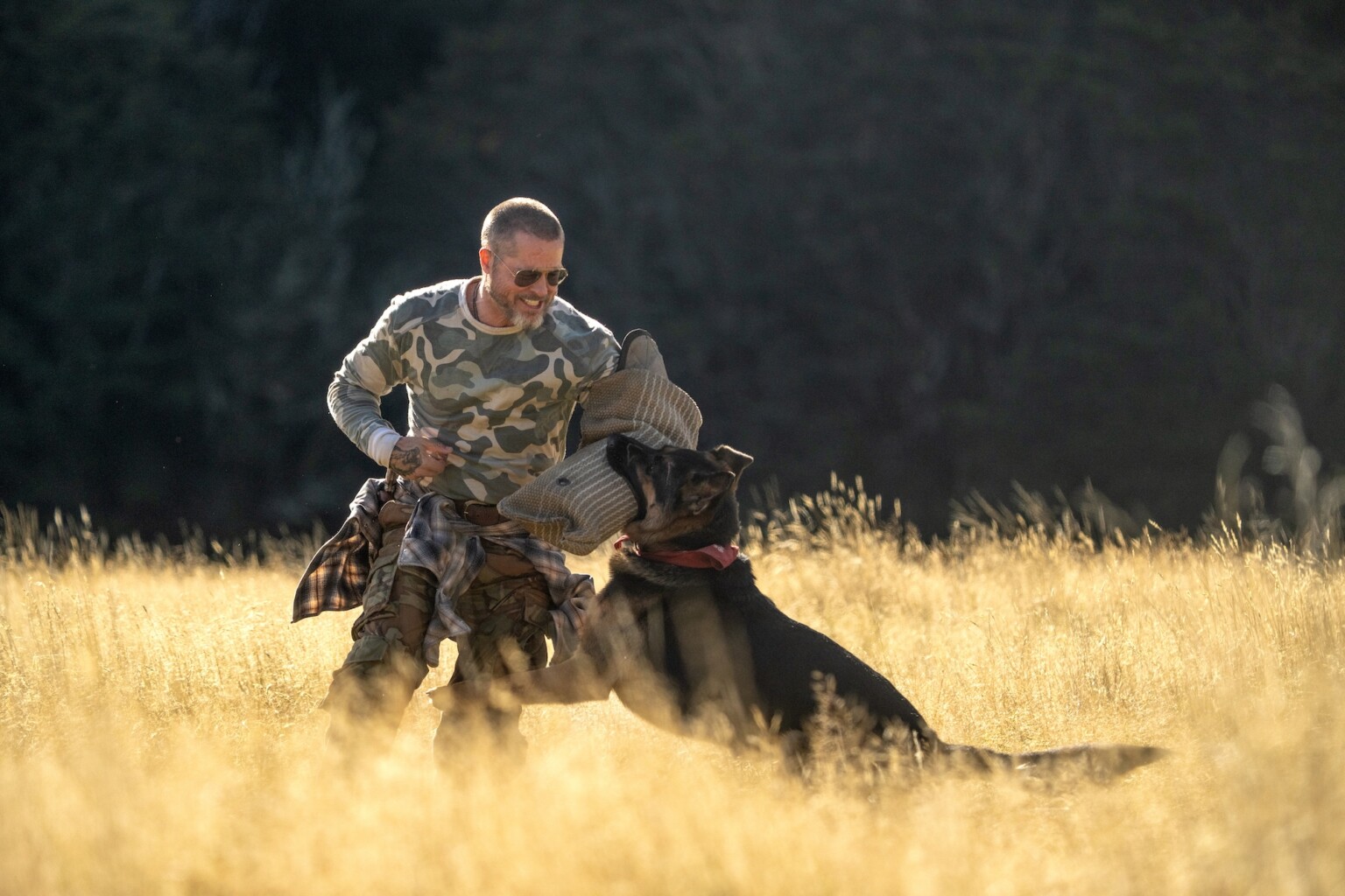 James Belmont (Brad Pitt) and Odin in Heart of the Beast from Paramount Pictures.