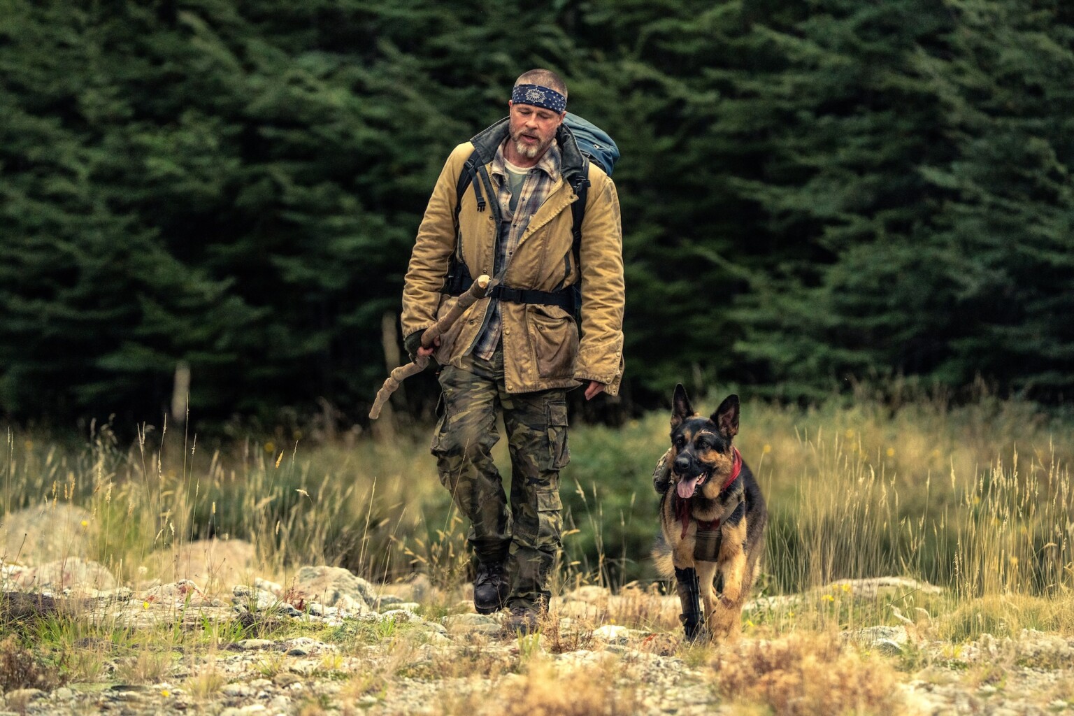 James Belmont (Brad Pitt) and Odin in Heart of the Beast from Paramount Pictures.