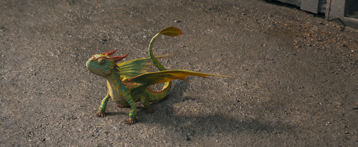 HOW TO TRAIN YOUR DRAGON