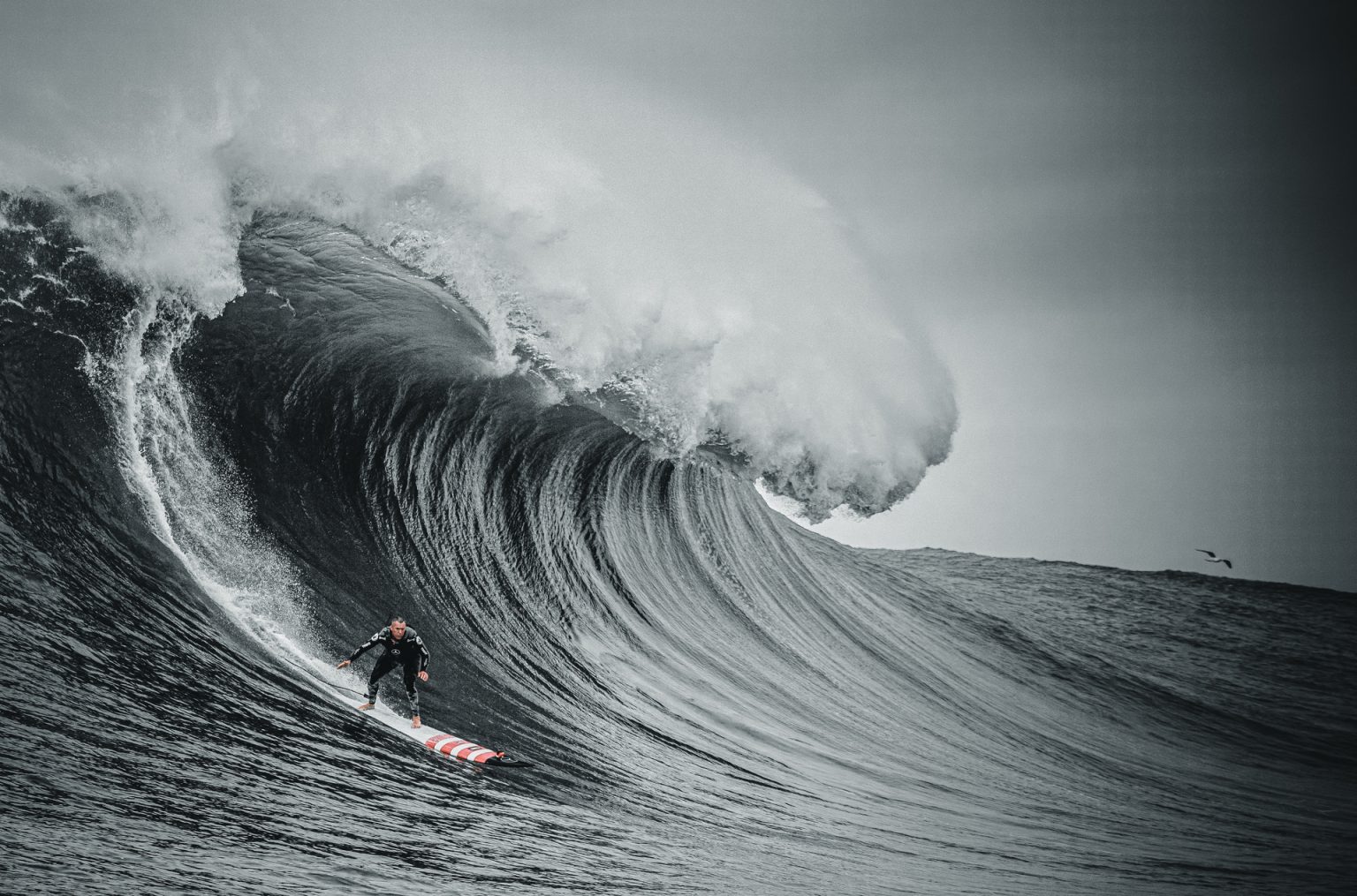 100 FOOT WAVE