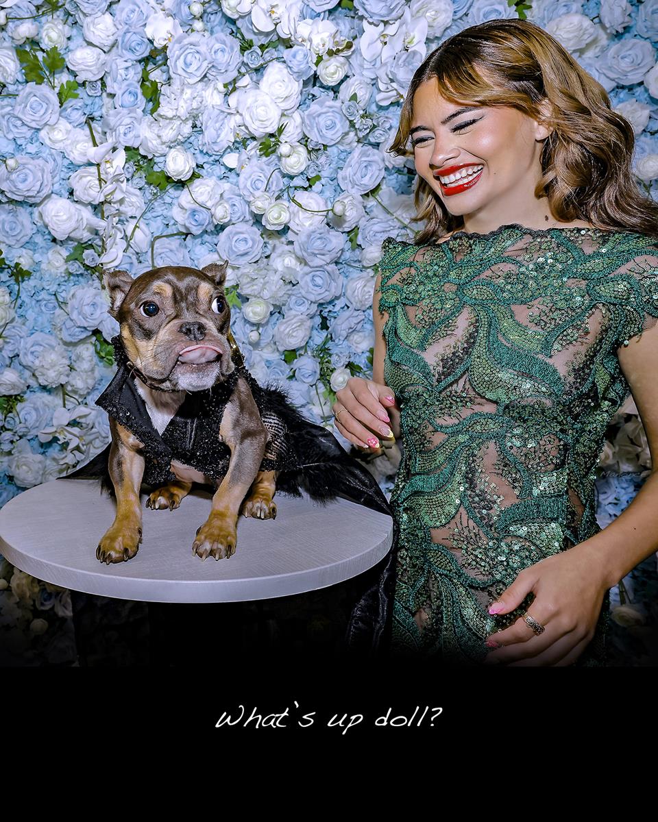 Pets in Recreated Outfits from The Met Gala by Pet Couturier Anthony Rubio