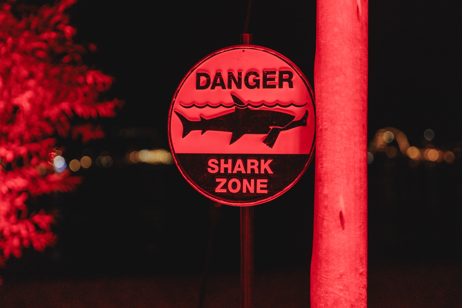 World Premiere of DANGEROUS ANIMALS and After-Party Pictures from CANNES