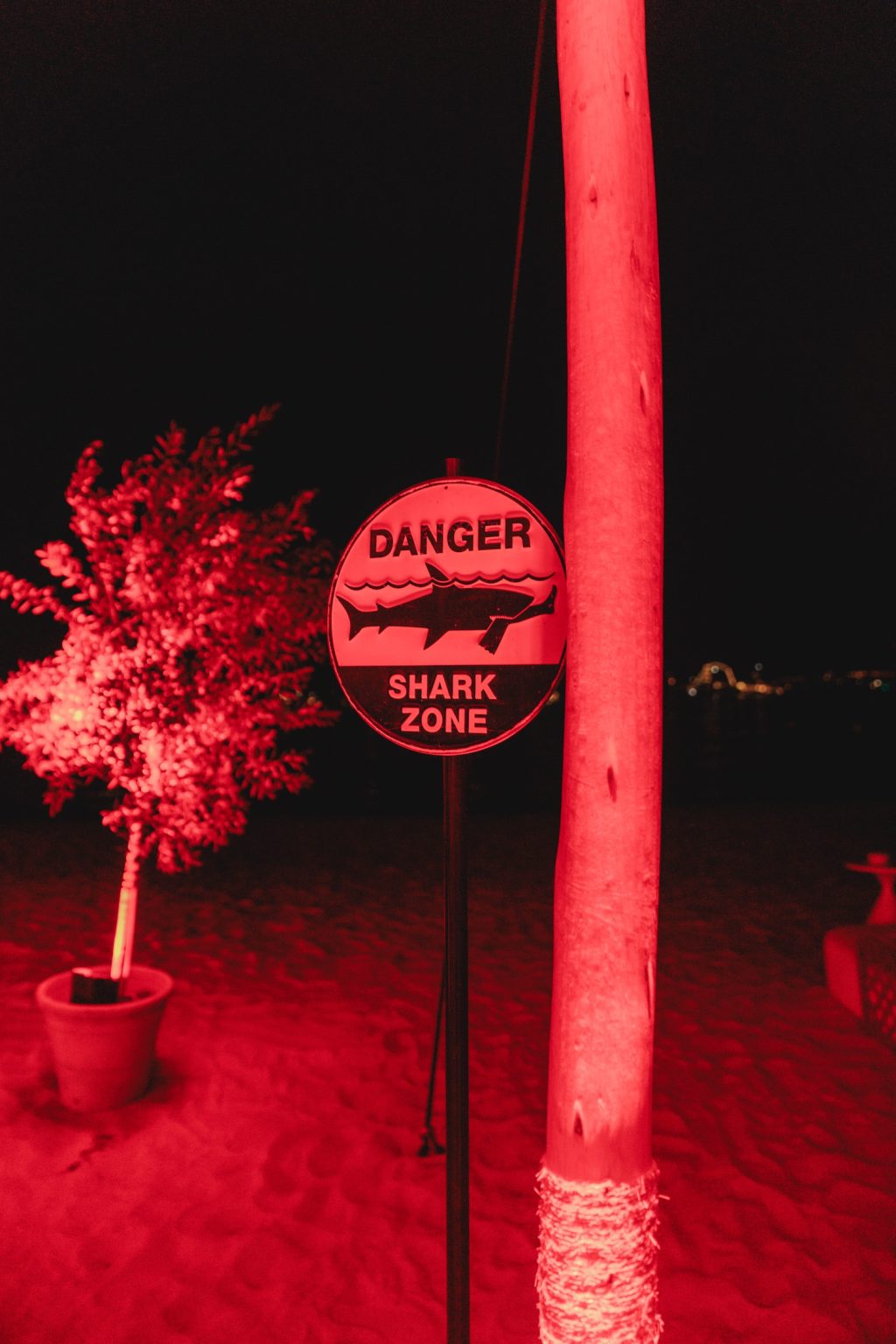 World Premiere of DANGEROUS ANIMALS and After-Party Pictures from CANNES