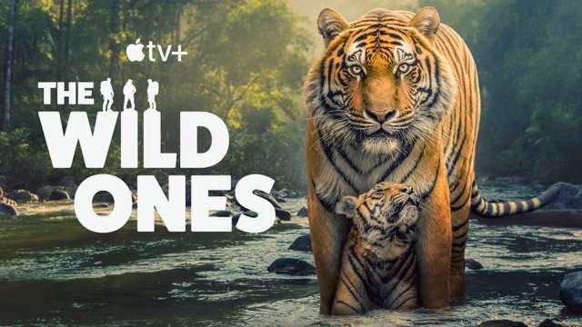 the wild ones series